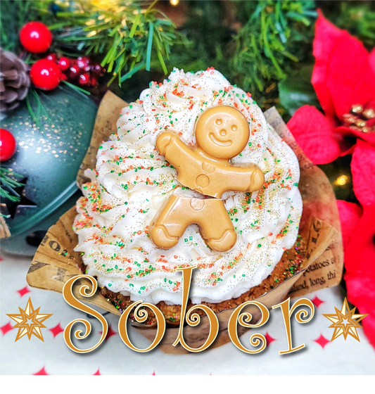 OH SNAP! | Gingerbread [SOBER]